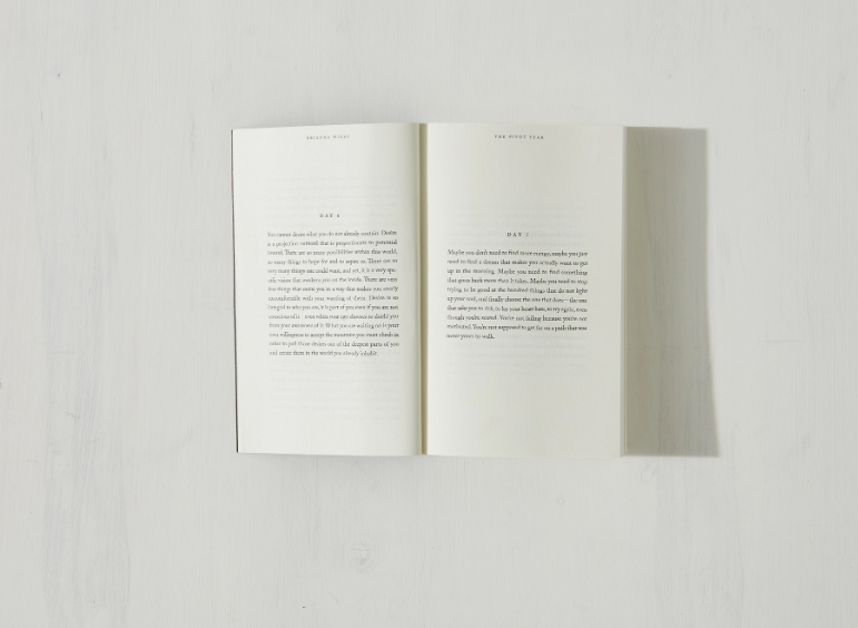 The Pivot Year - book: Paperback